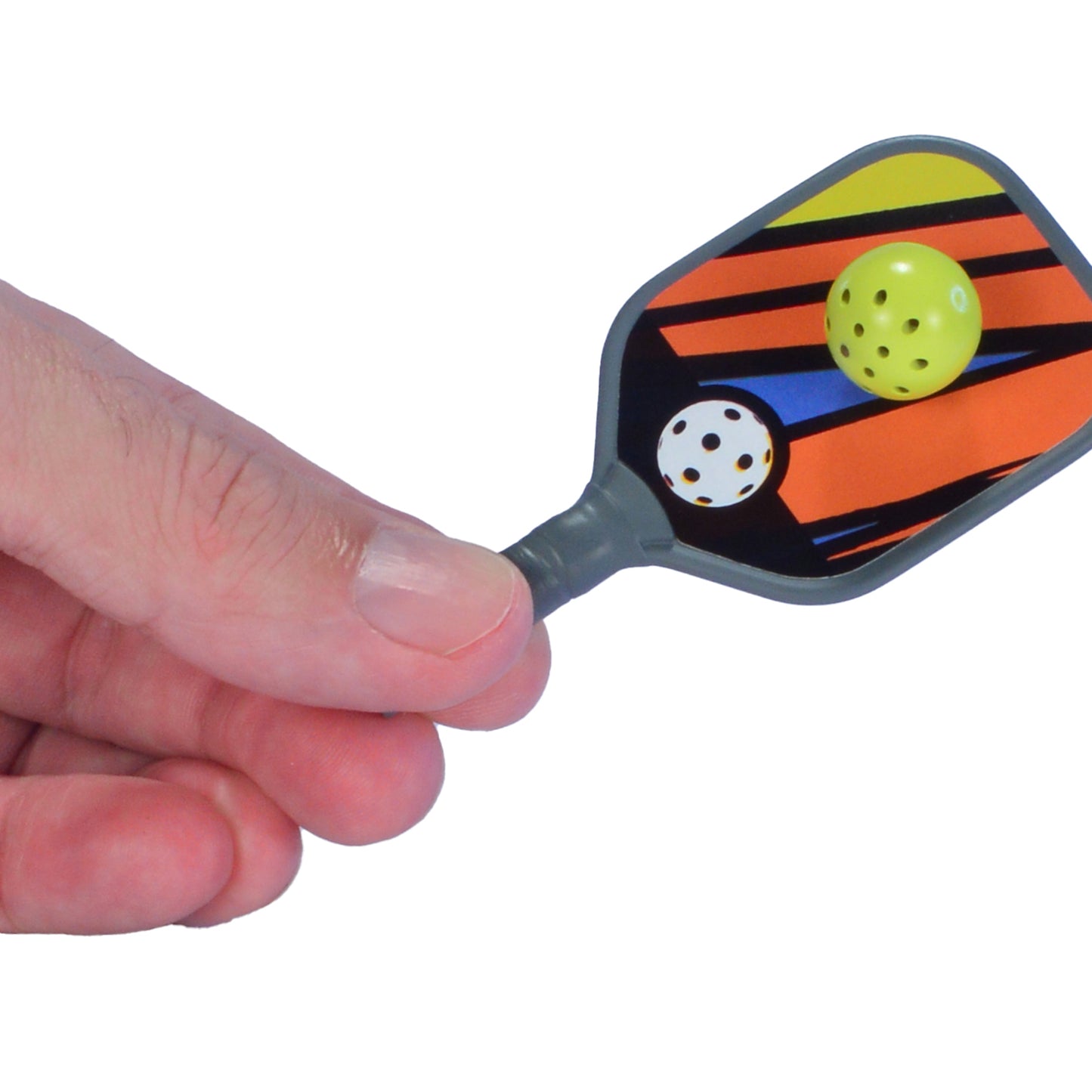 World’s Smallest Pickleball
