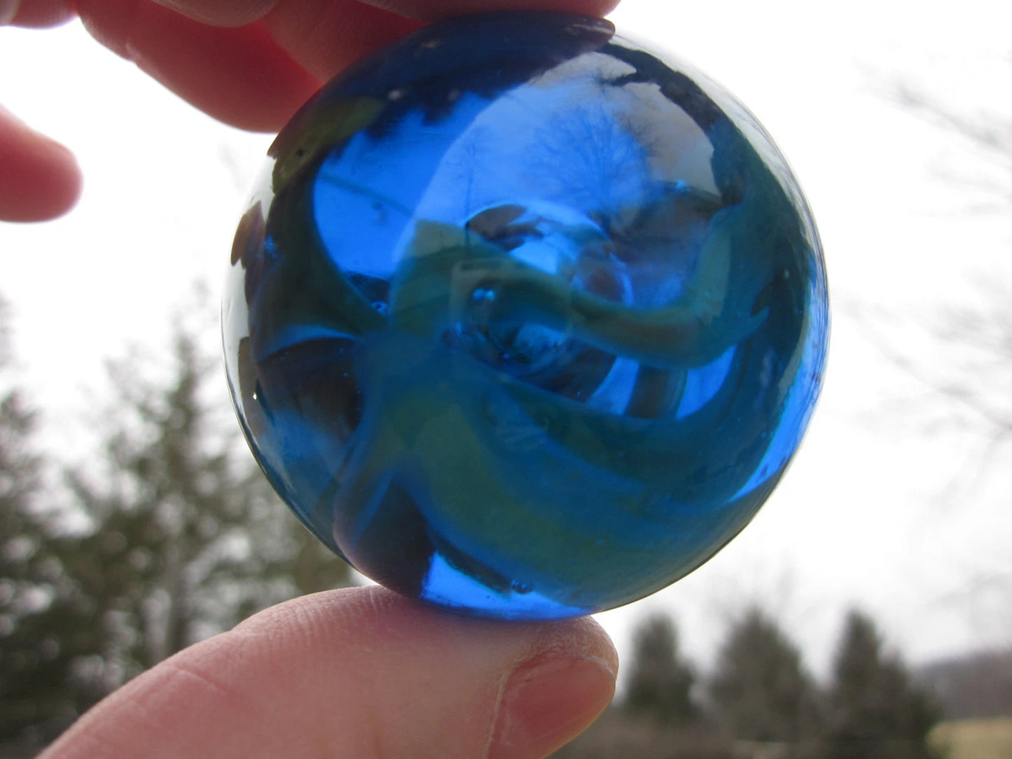 Toe Breaker 50mm (2") SEA TURTLE translucent cobalt blue green swirl Glass Marble