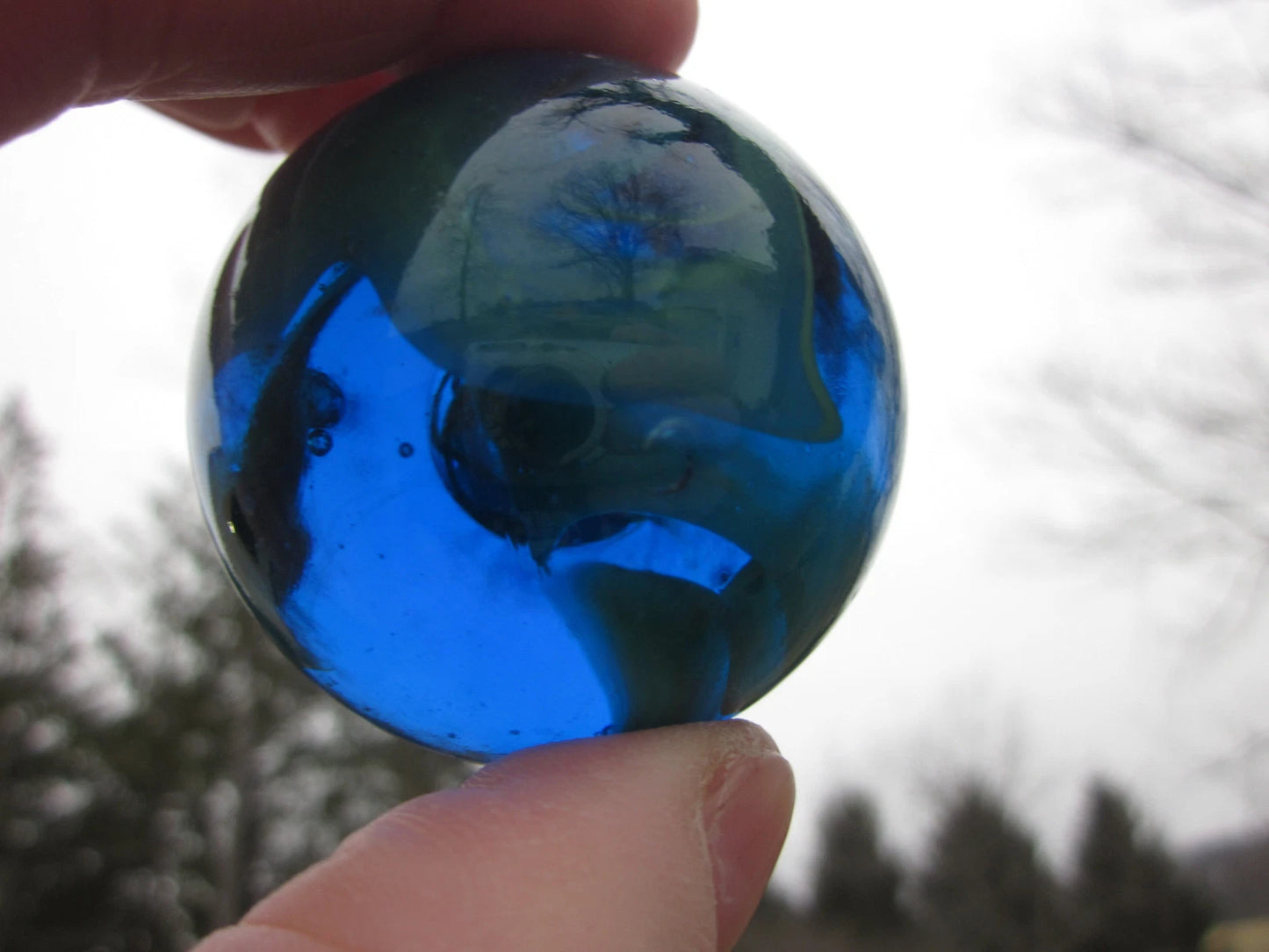 Toe Breaker 50mm (2") SEA TURTLE translucent cobalt blue green swirl Glass Marble