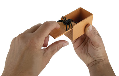 World's Smallest SPIDER BOX Scare Prank